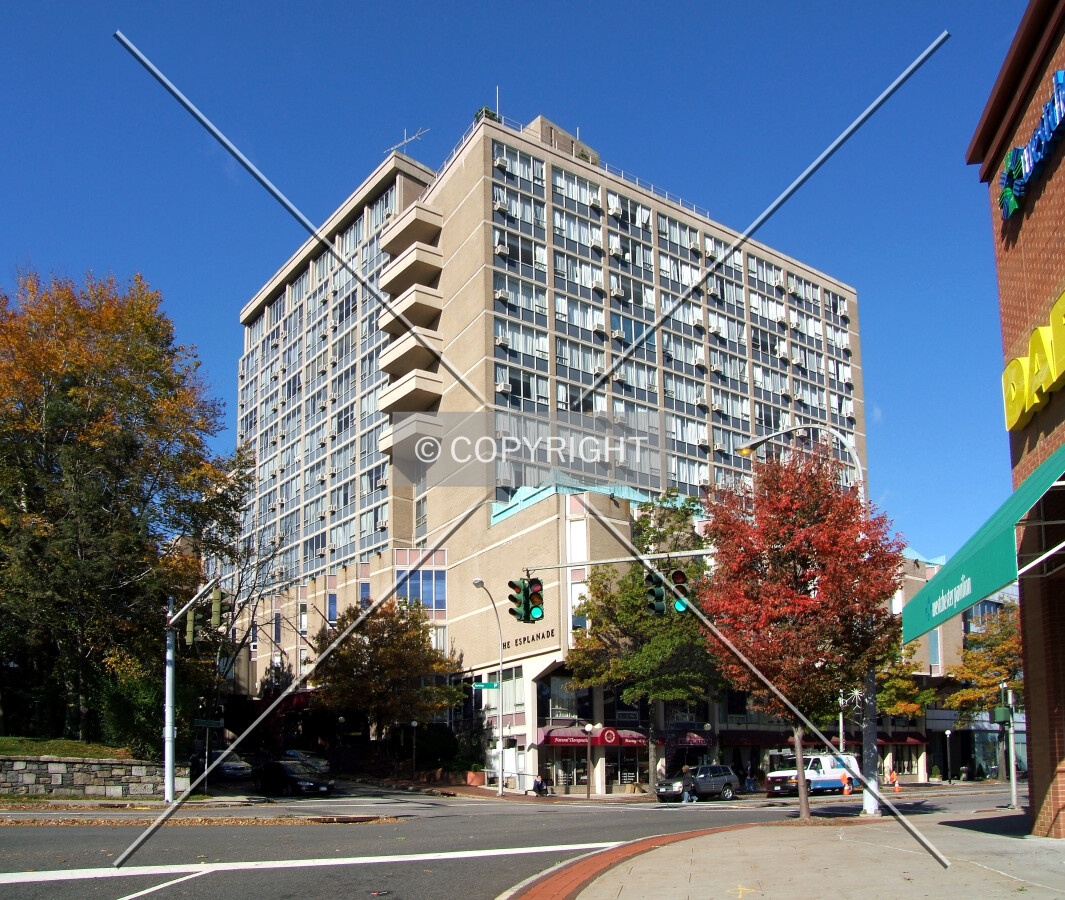 View from the southeast