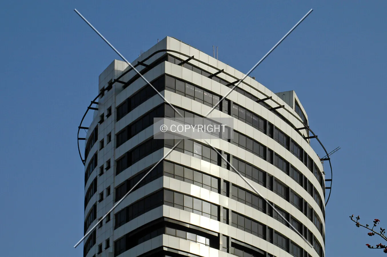 Photo 820-944-662