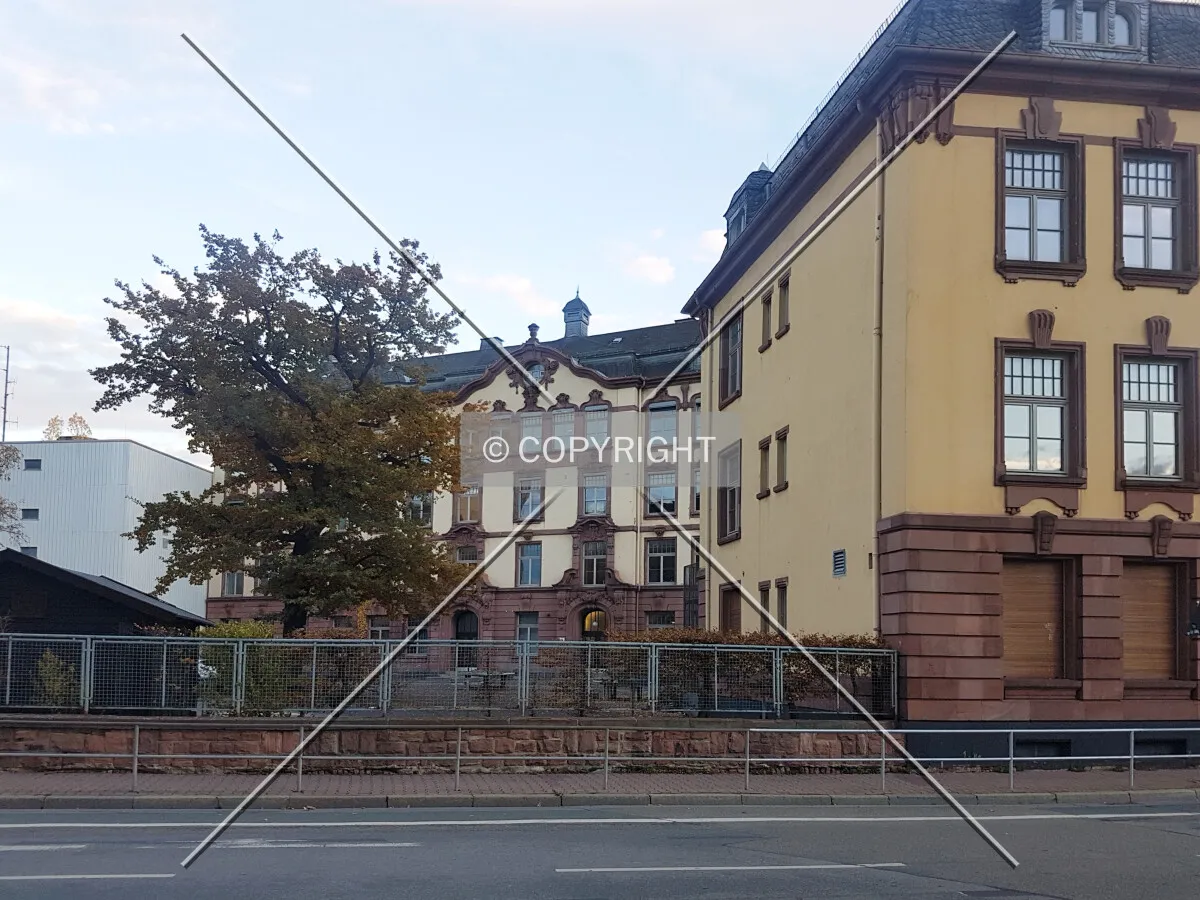 Photo 821-048-845