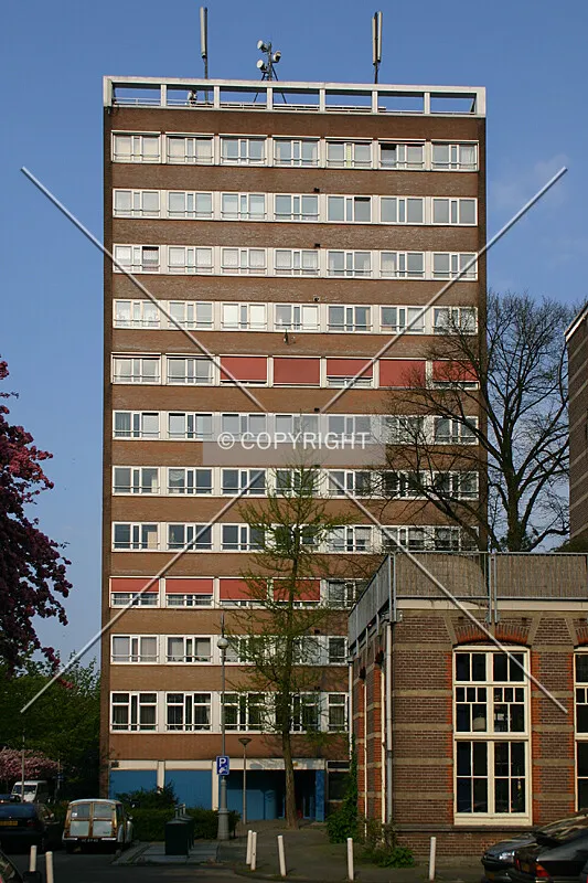 View from the west
