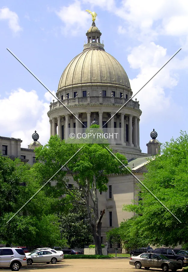 View from the northeast within the capitol grounds