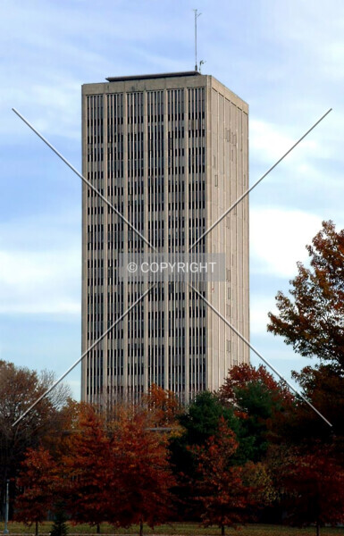 Photo 822-155-223