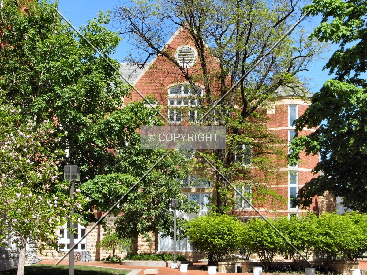 West elevation through trees