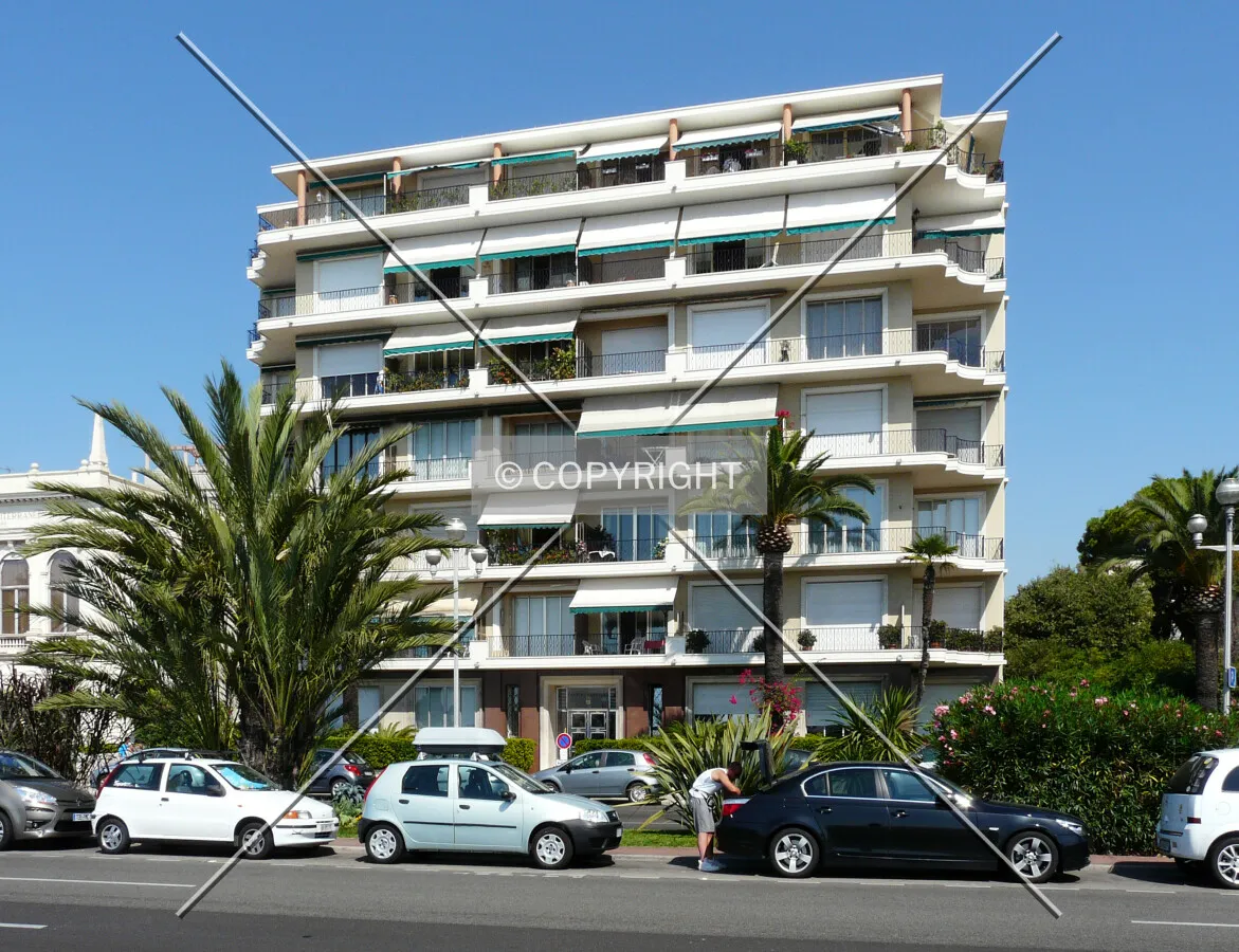 View from the south
