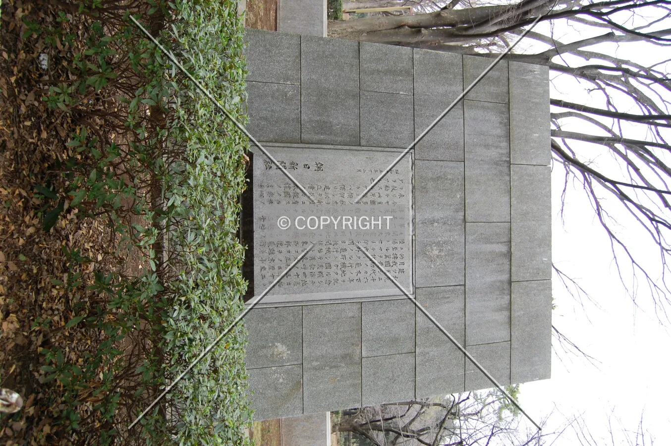 Photo 824-190-738
