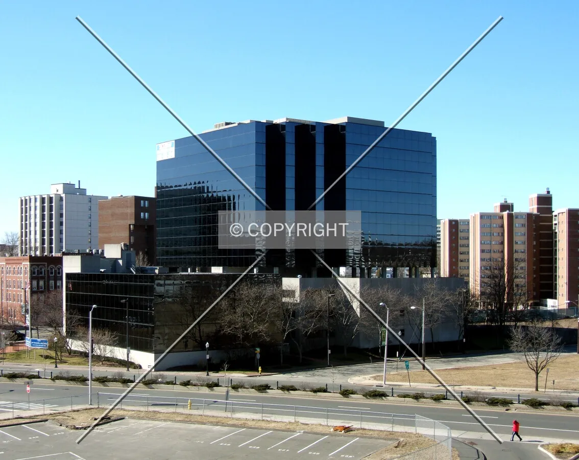 View from the northeast