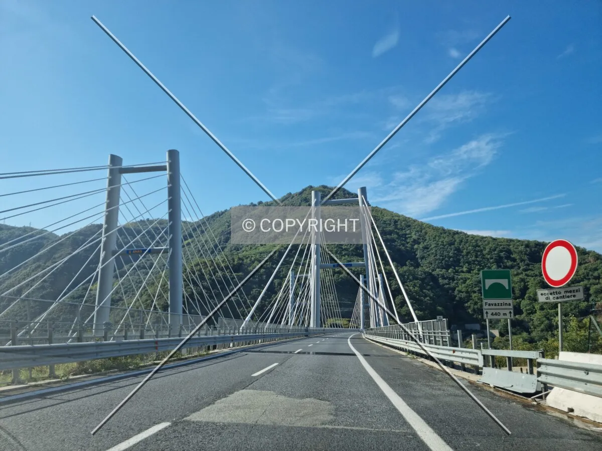 Photo 082-443-550