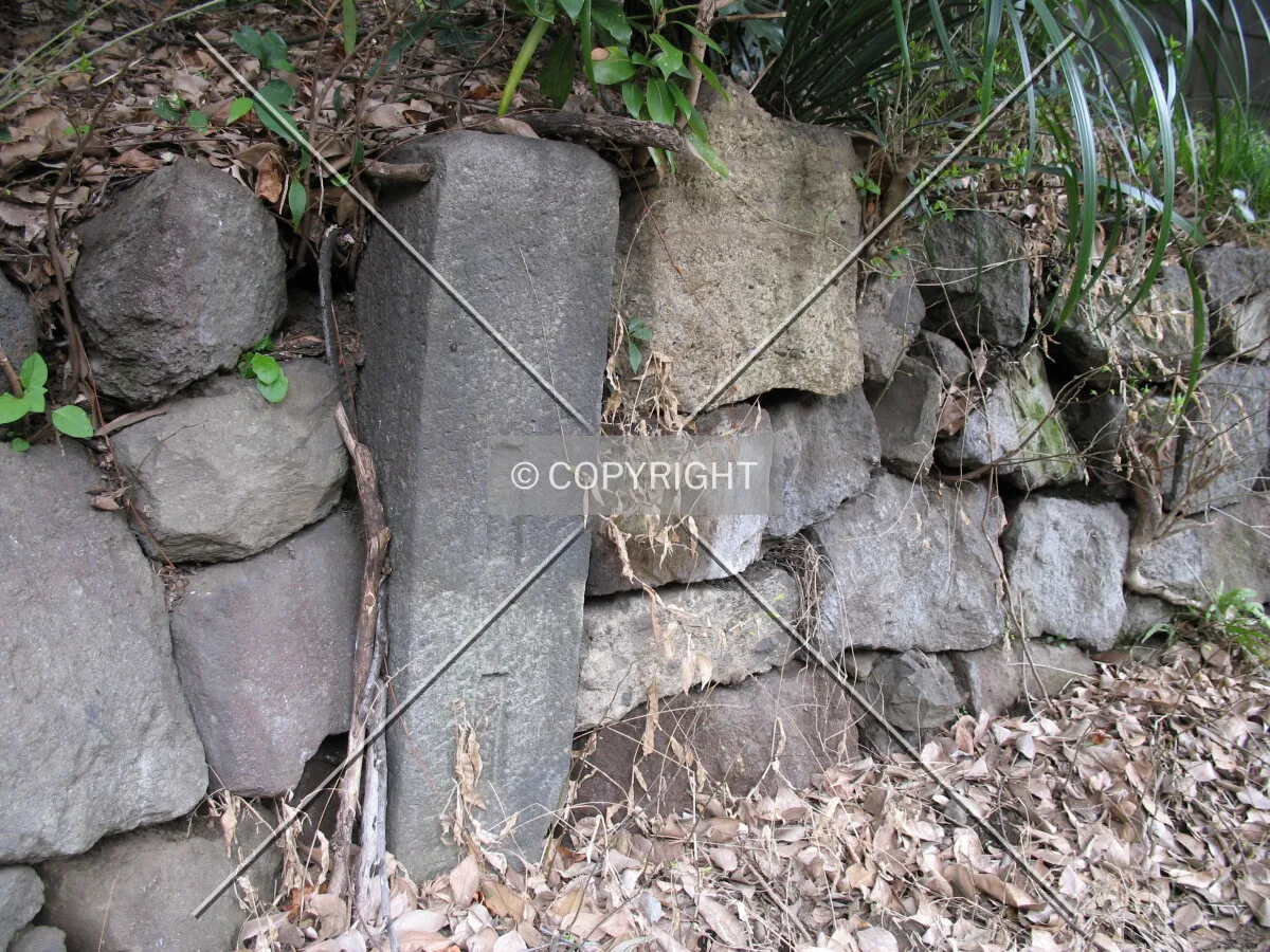 Photo 825-777-752