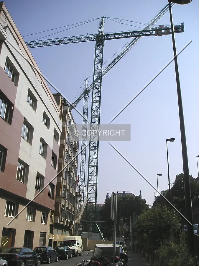 View of the cranes