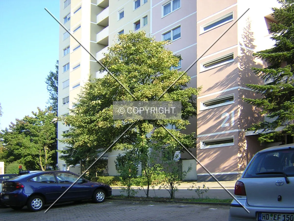 View over the site