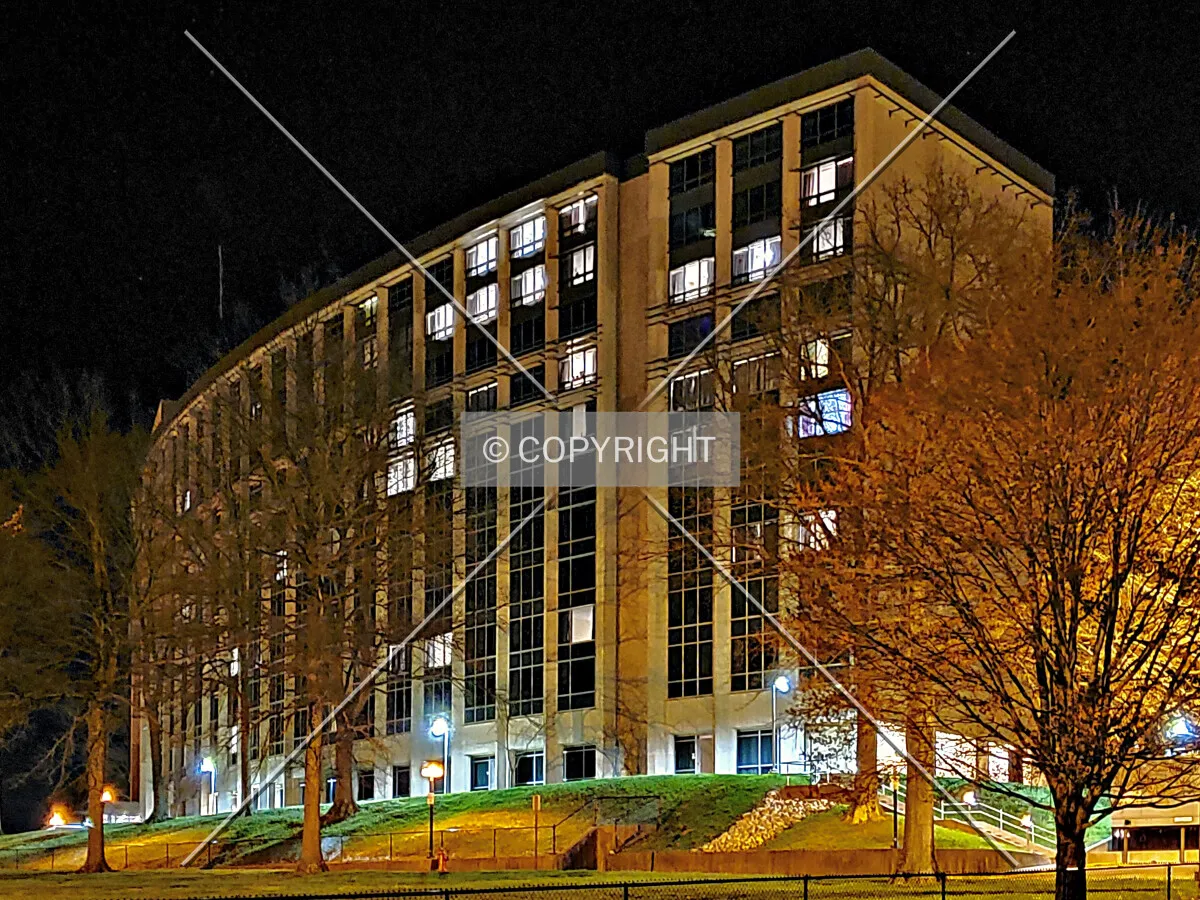 Southwest view; March 29, 2020