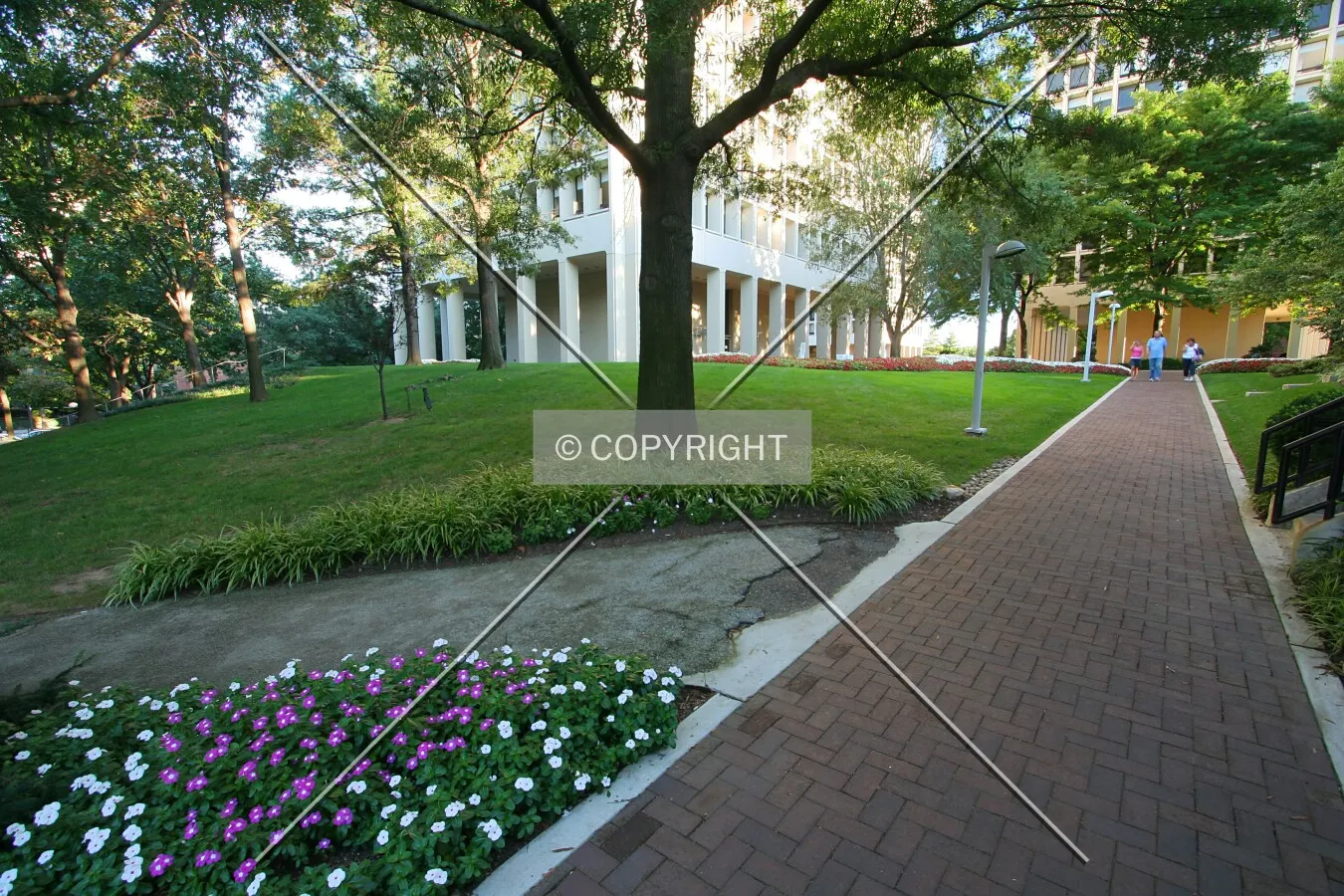 Landscaping on the north side