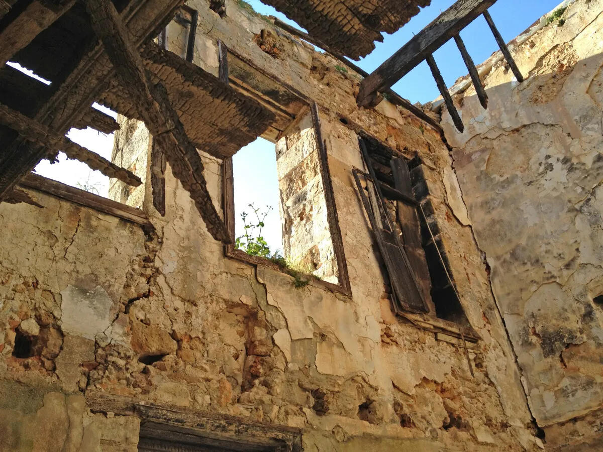 Photo 826-703-003