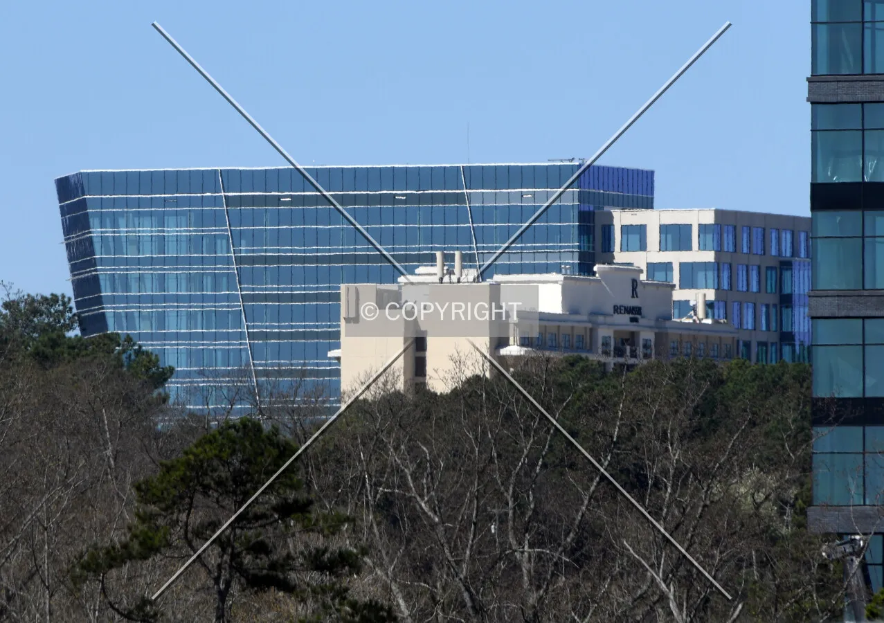 View from the southeast