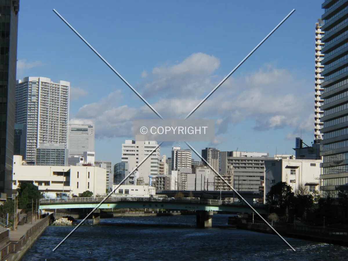 Photo 827-430-495
