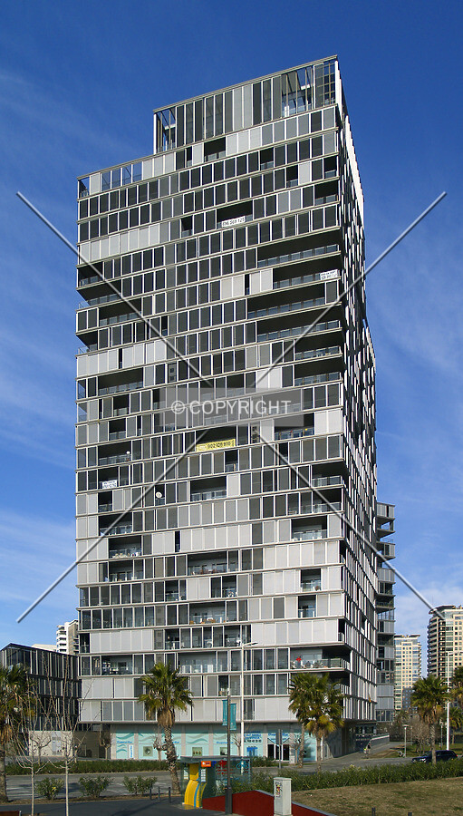 View from the southeast