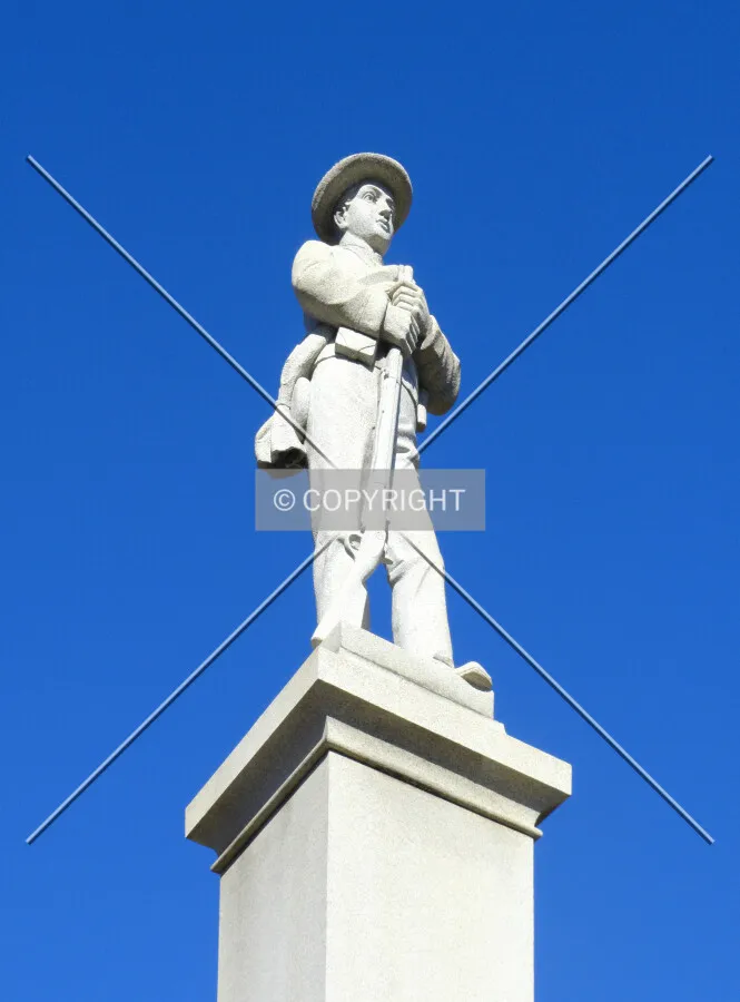 Top soldier detail