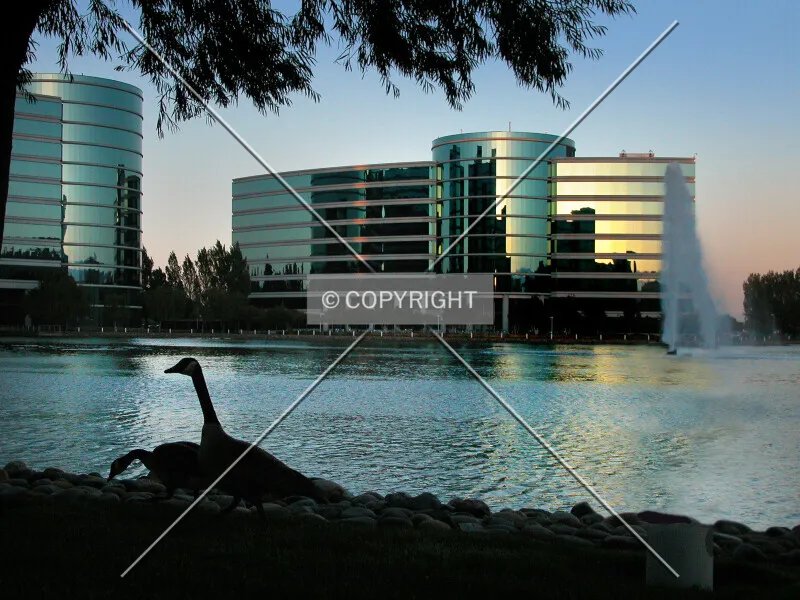 Photo 828-035-366