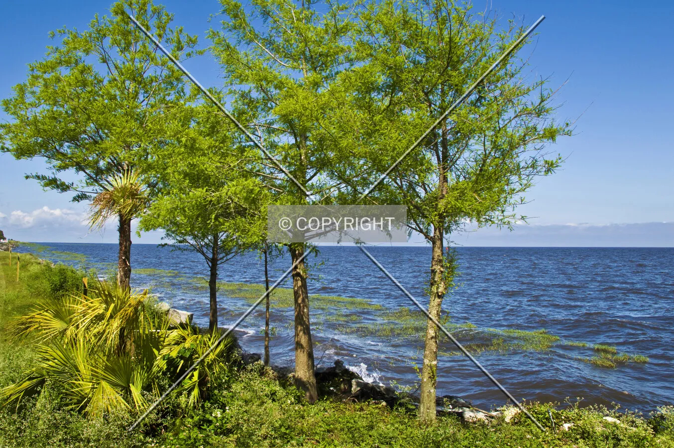 Lake Okeechobee, Florida, U.S.A.