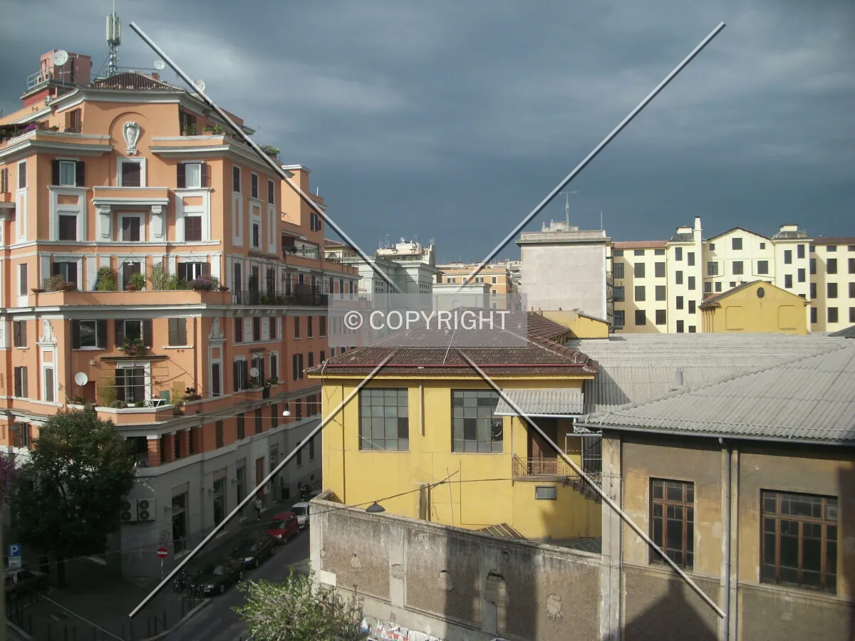 Photo 828-260-793