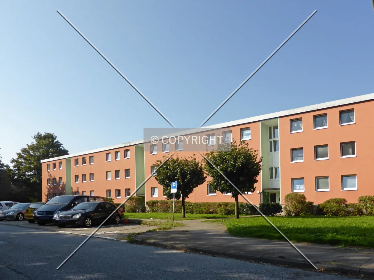 Photo 828-305-247