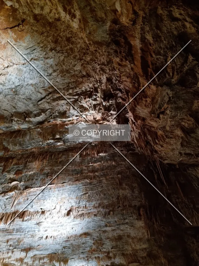 Photo 082-841-074