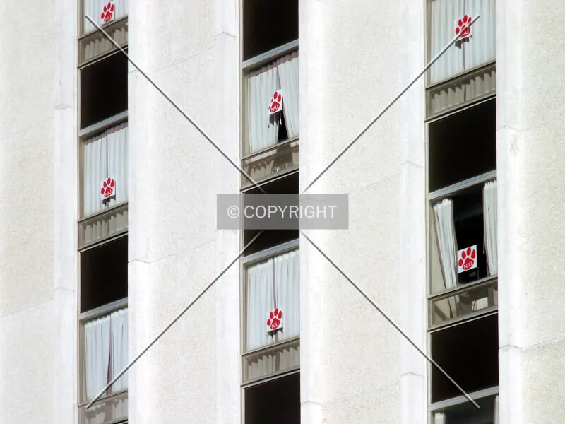 Photo 828-451-043