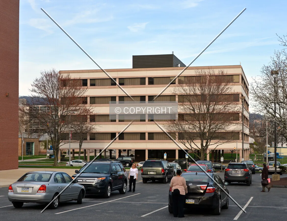 View from the west
