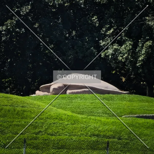 Photo 828-732-139