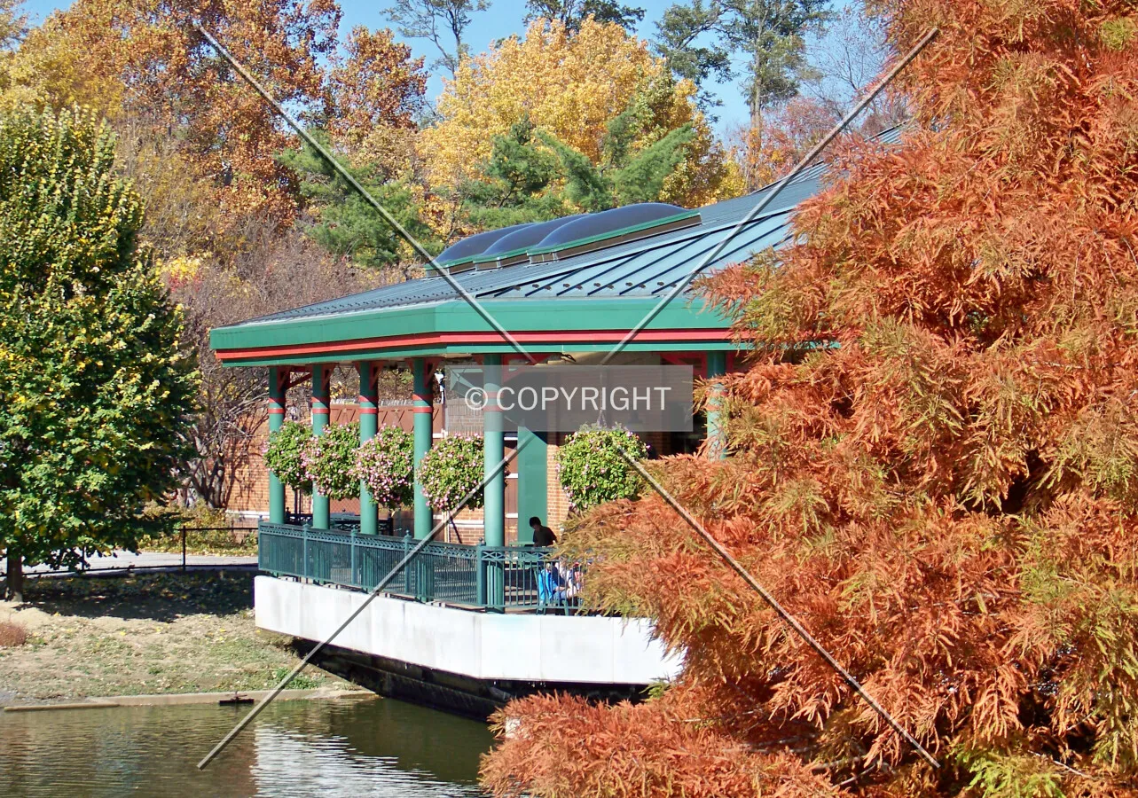 View of the lakeside seating at the St. Louis Zoo