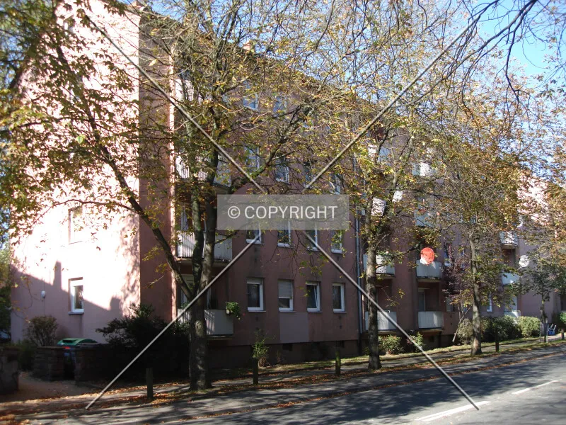Photo 083-031-842
