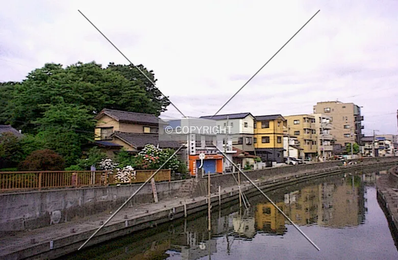 Photo 083-042-056