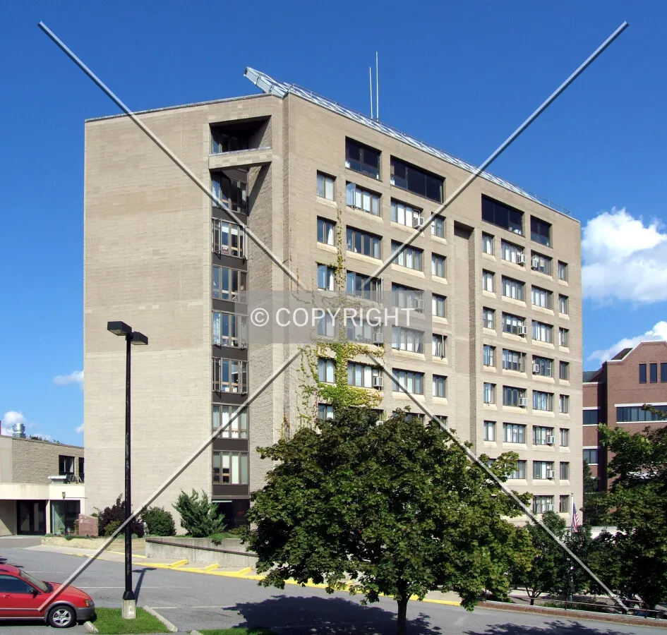 View from the southwest