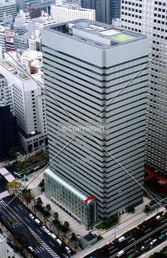 View from Tokyo City Hall
