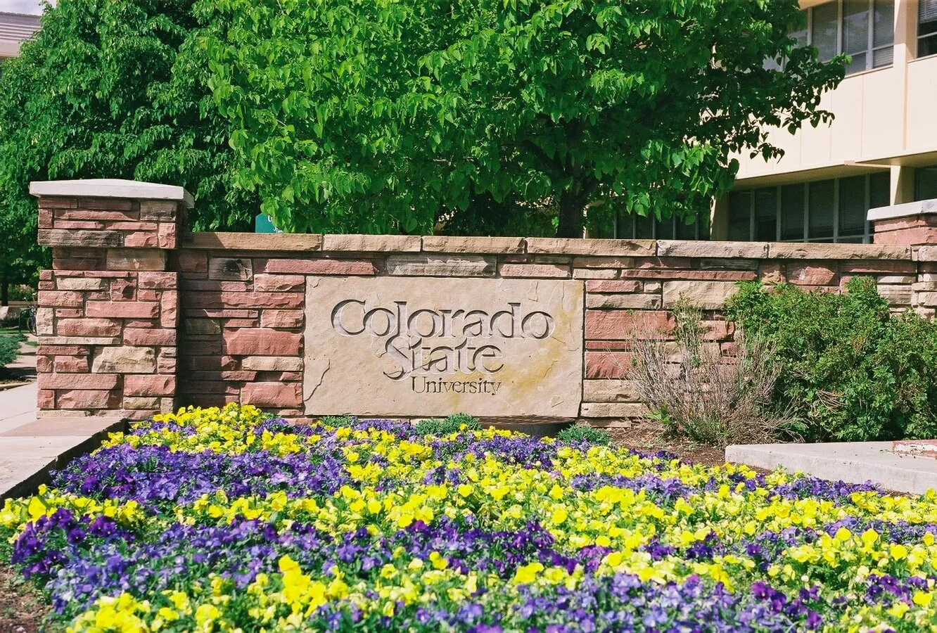 Gateway to the campus
