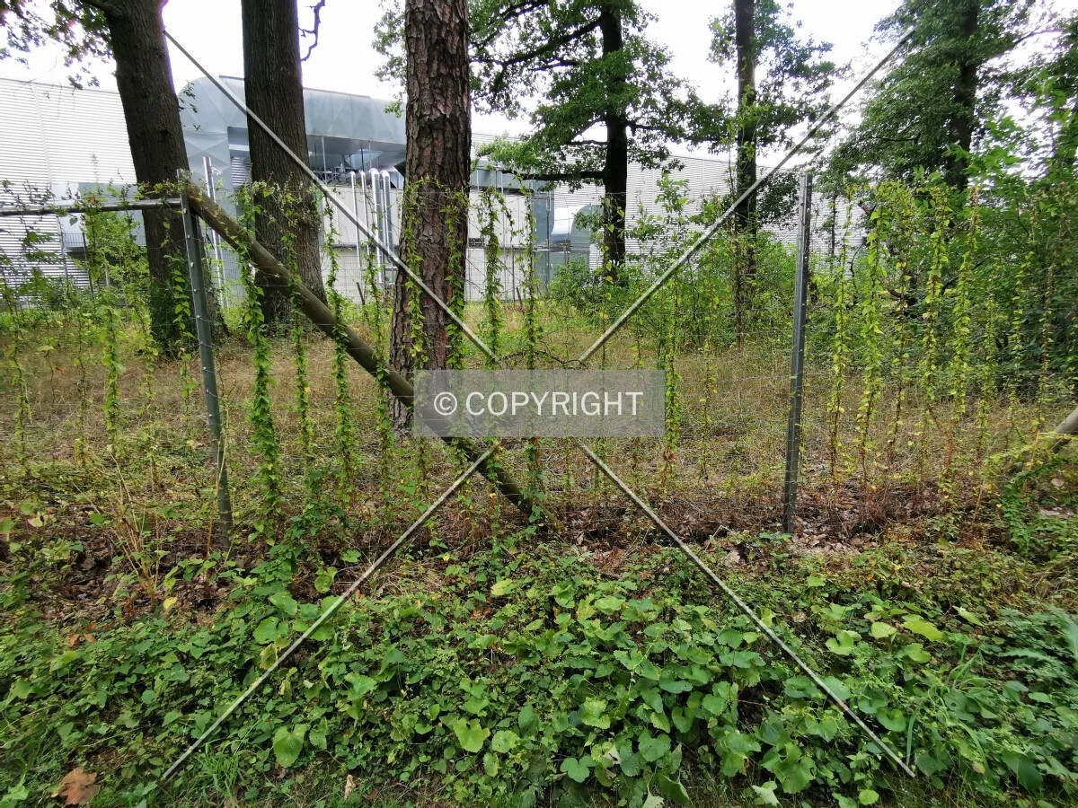 Photo 083-226-702