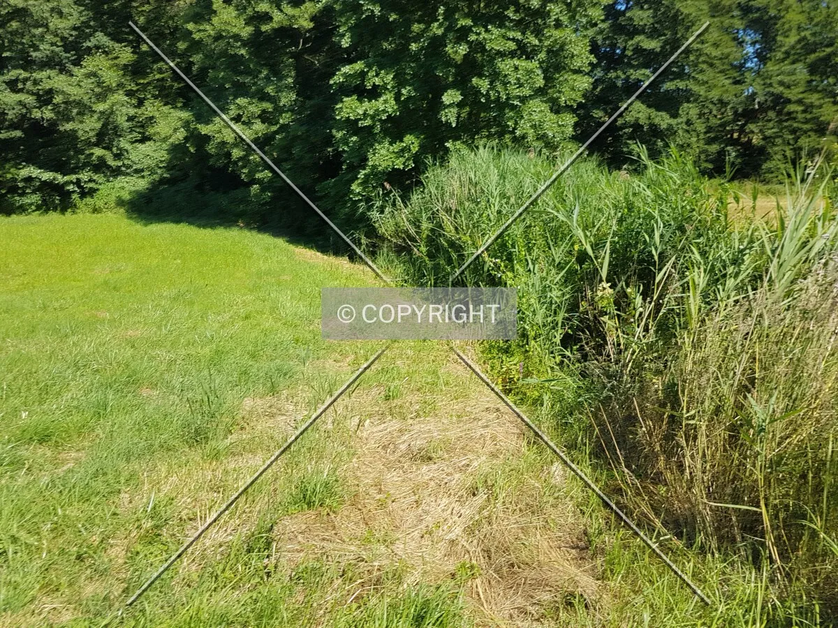 Photo 832-280-766
