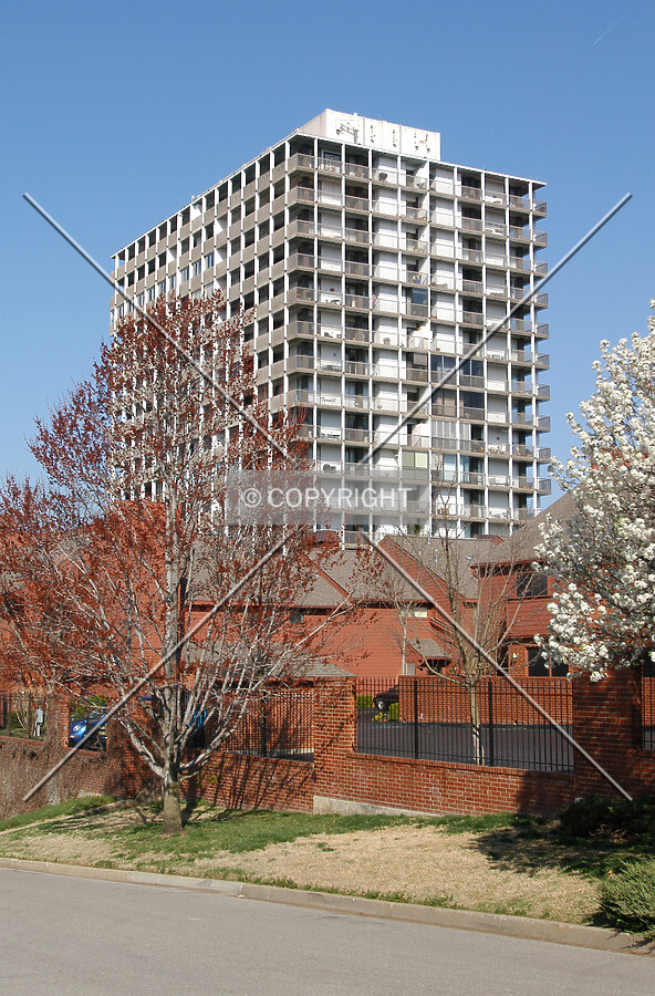 View from the southeast