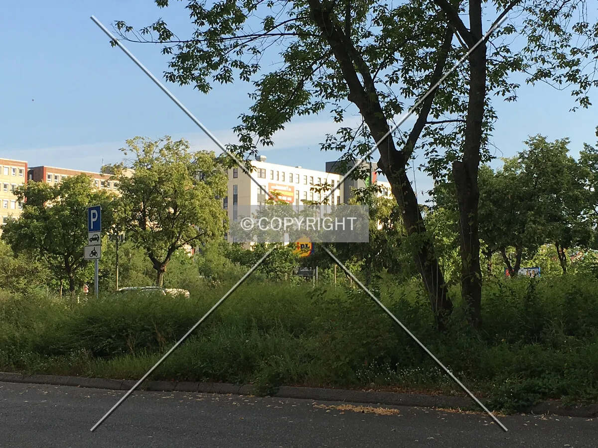Photo 083-261-789
