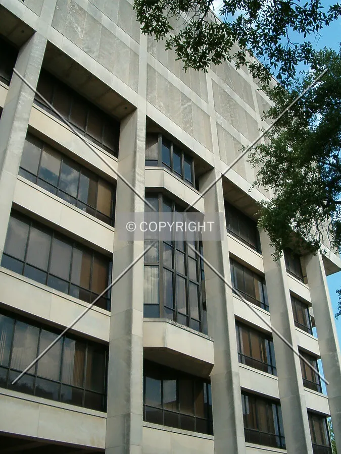 View from Saint Louis Street