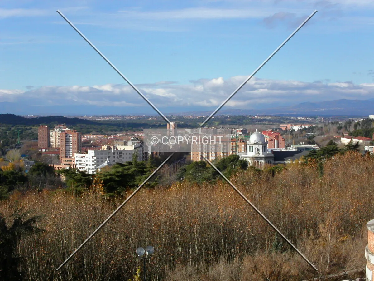 The district as seen from Palacio Real