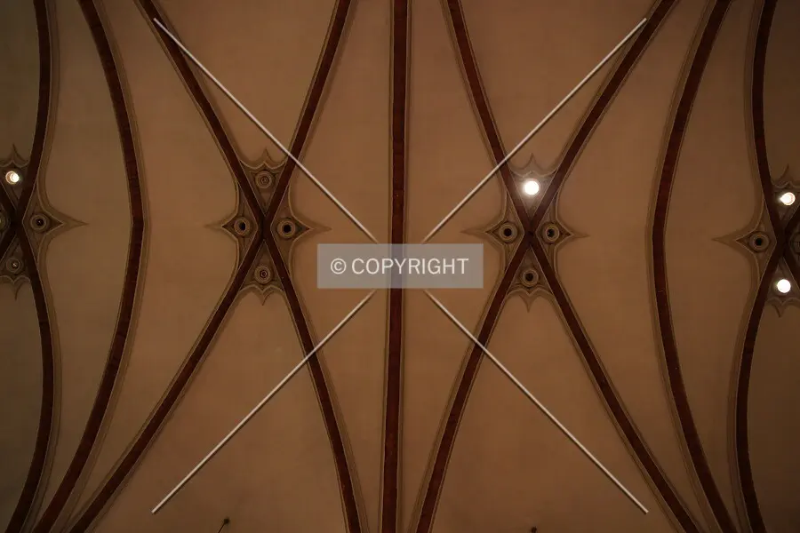 Photo 833-714-233