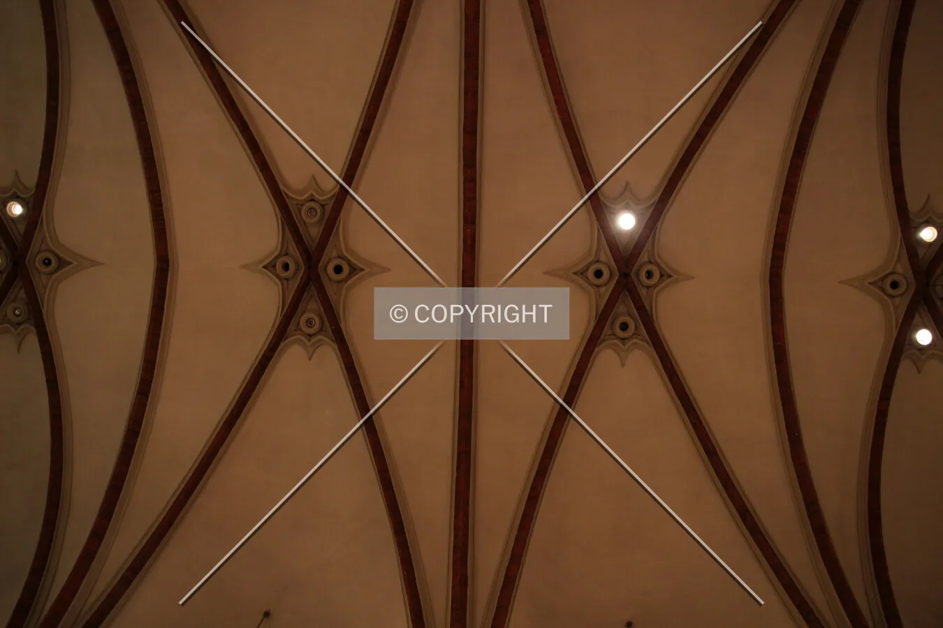 Ceiling in the main nave