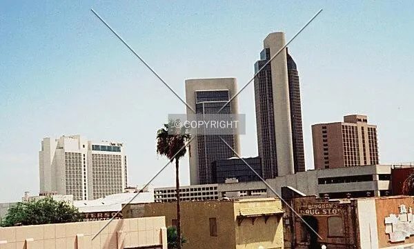 Modern skyscrapers in Corpus Christi