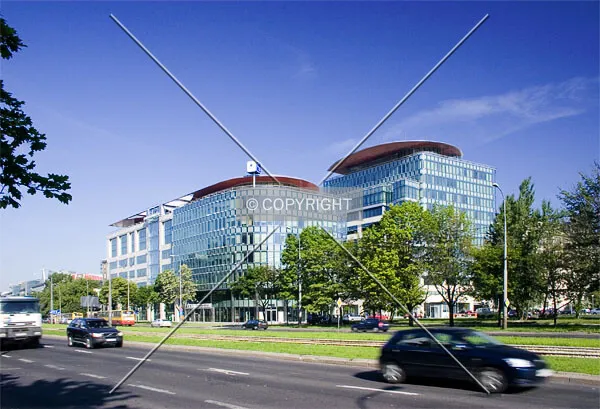 View from the southeast