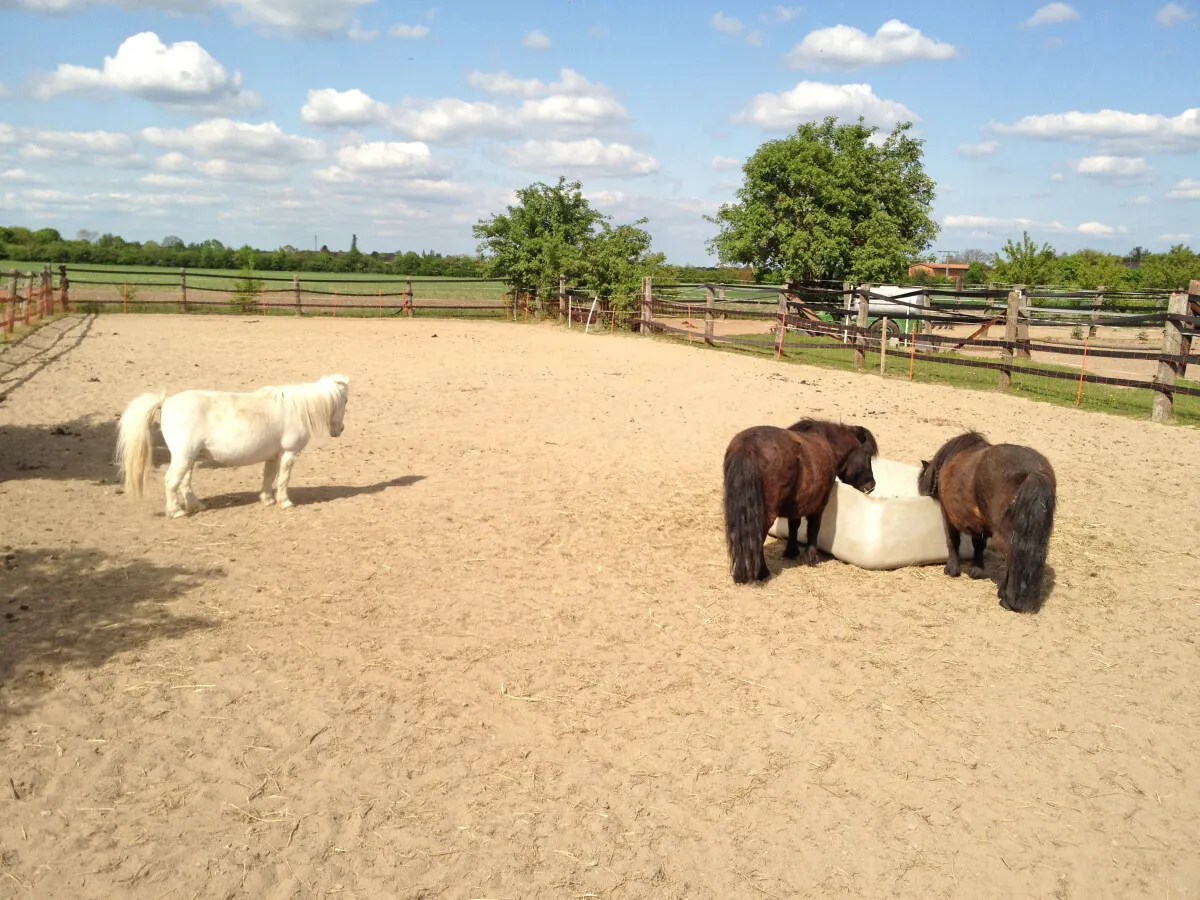 Photo 834-361-533