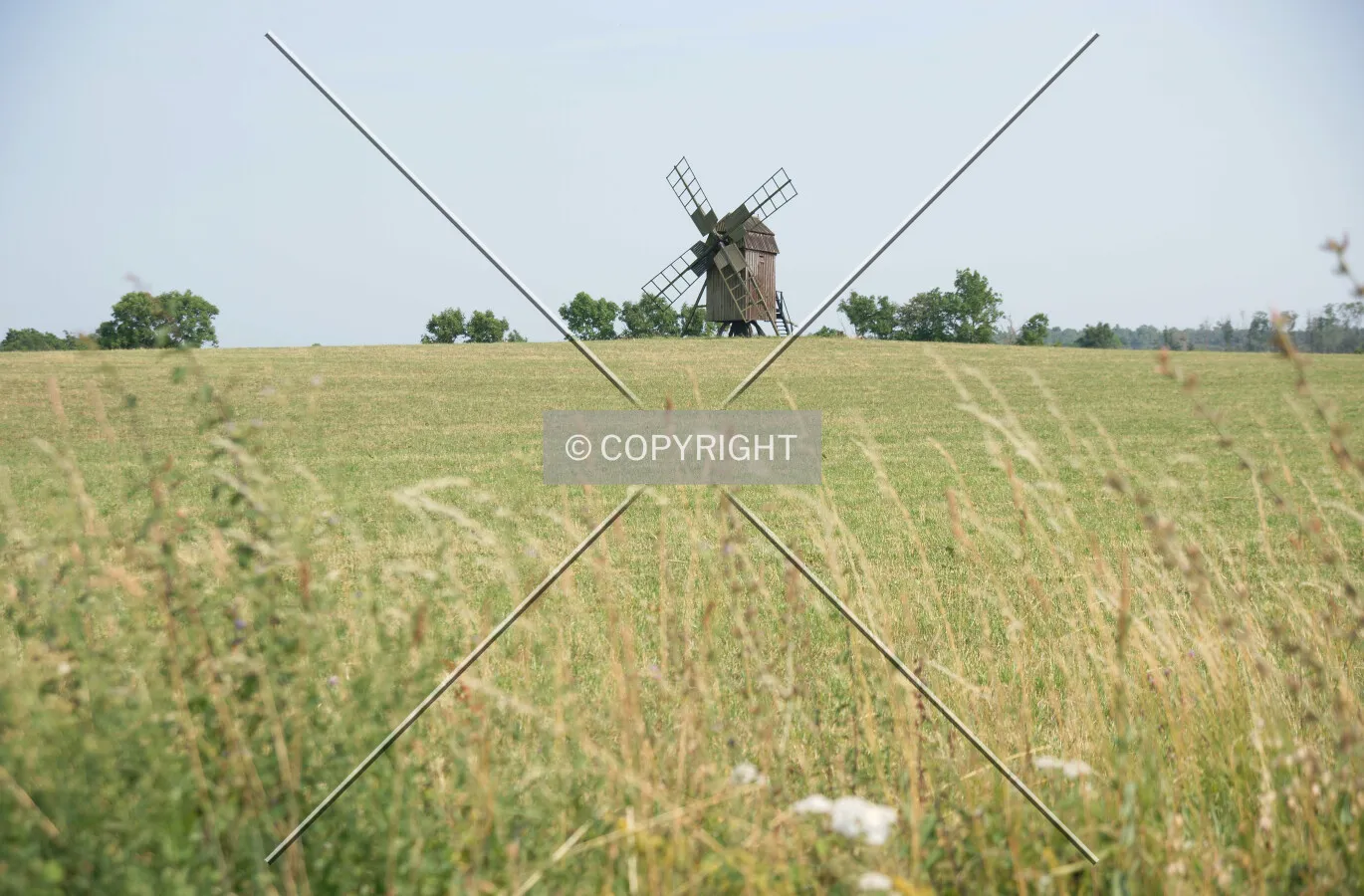 Wind mill and landscape