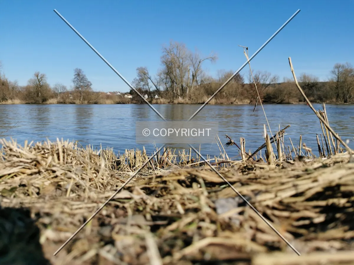 Photo 834-920-018