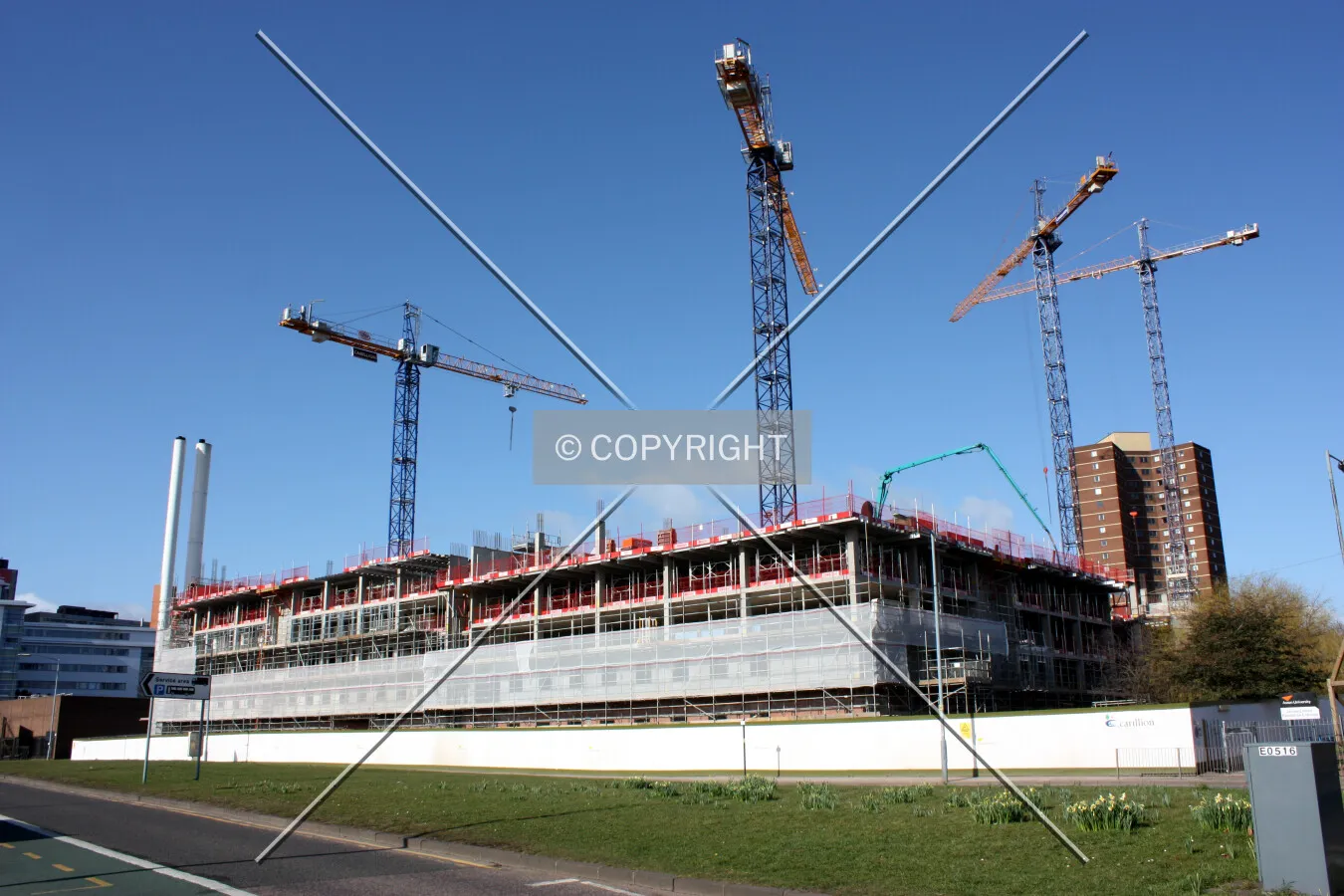 Full-site view