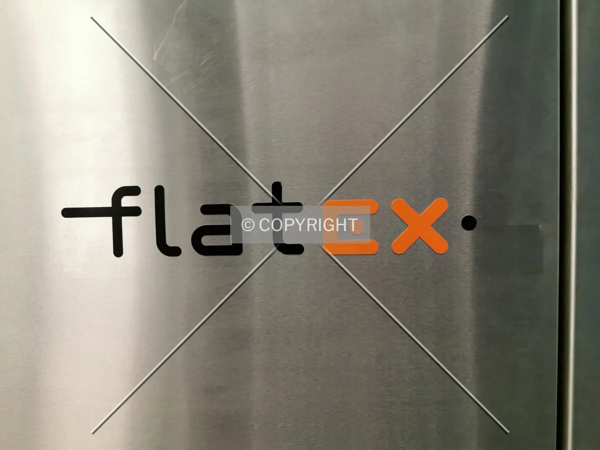 flatex Logo